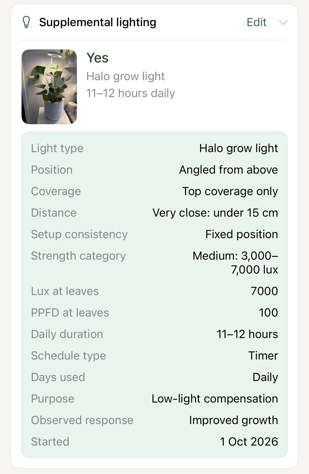 Liana grow light record showing a Halo grow light angled from above, under 15 cm away, 7,000 lux and 100 PPFD at the leaves, on a timer for 11 to 12 hours daily