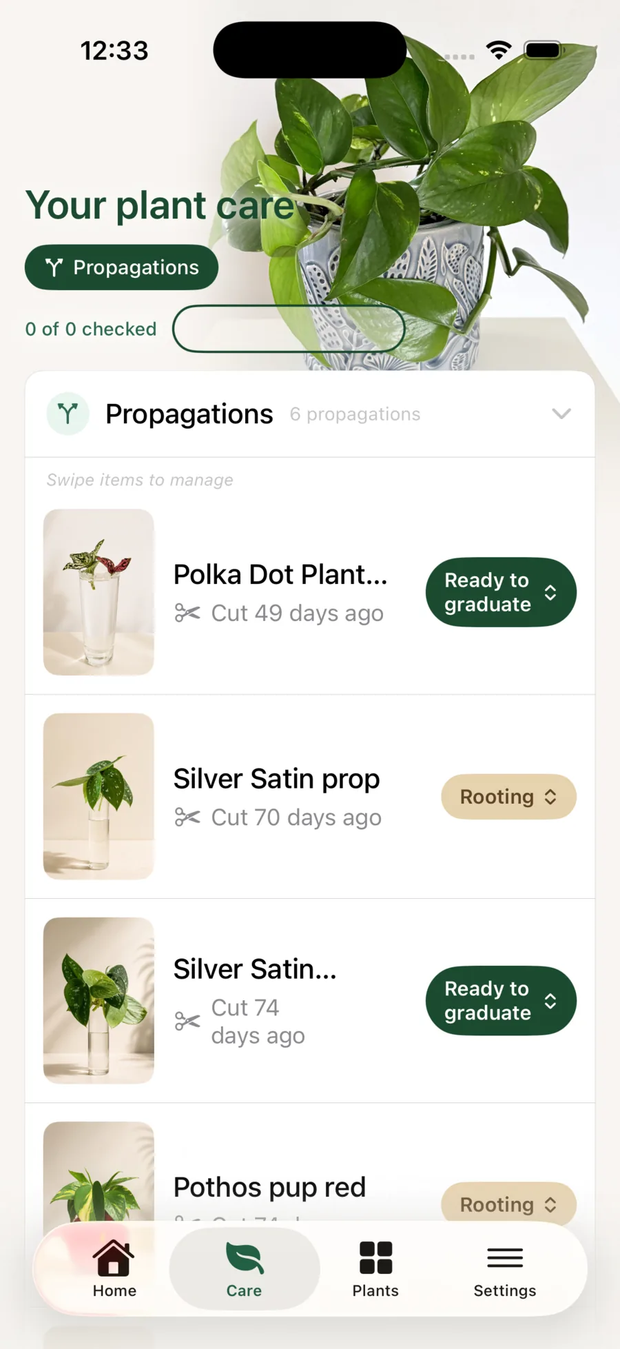 Liana propagation list showing cuttings at rooting and ready-to-graduate stages